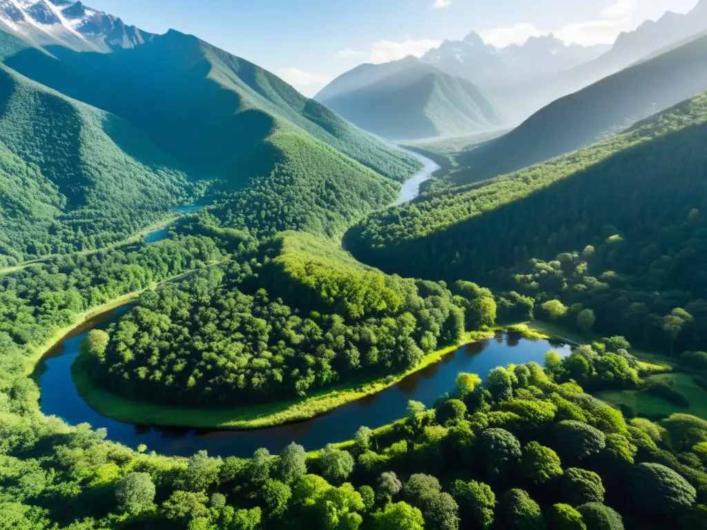 Colaboración ONGs empresas reducir huella: Bosque exuberante, río serpenteante y montañas nevadas, resaltando la belleza de la naturaleza