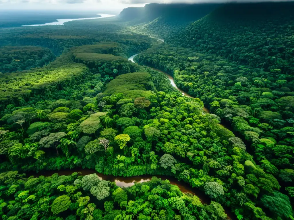 Vista aérea impresionante de un exuberante y próspero bosque lluvioso con follaje verde vibrante